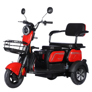 3 wheel multifunction electric city bike