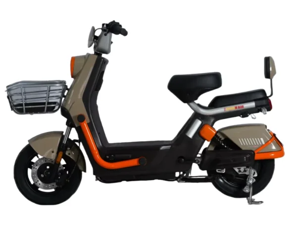 Kugoo Electric Bike two seater home cargo city riding