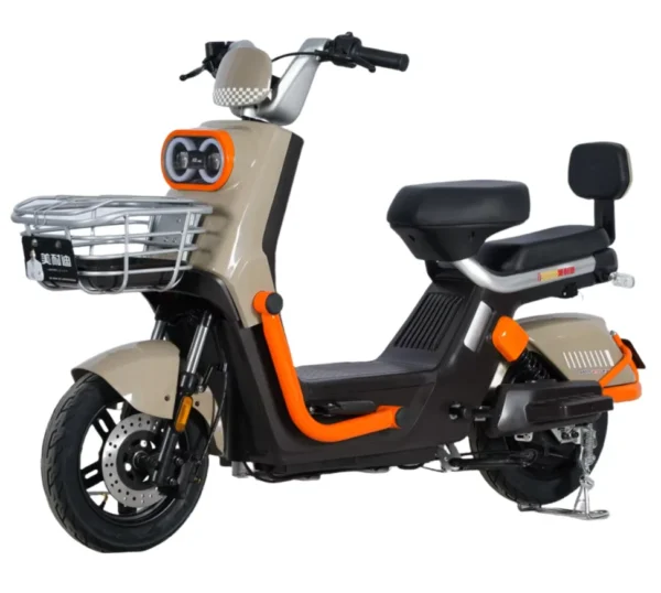 Kugoo Electric Bike two seater home cargo city riding