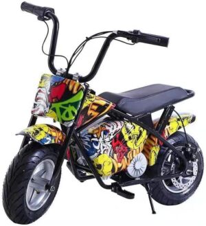 Leaders Electric Dirt Bike for Kids 2024 New 24V 8Ah 250W