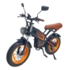 Kugoo Kirin V5 Electric Bike