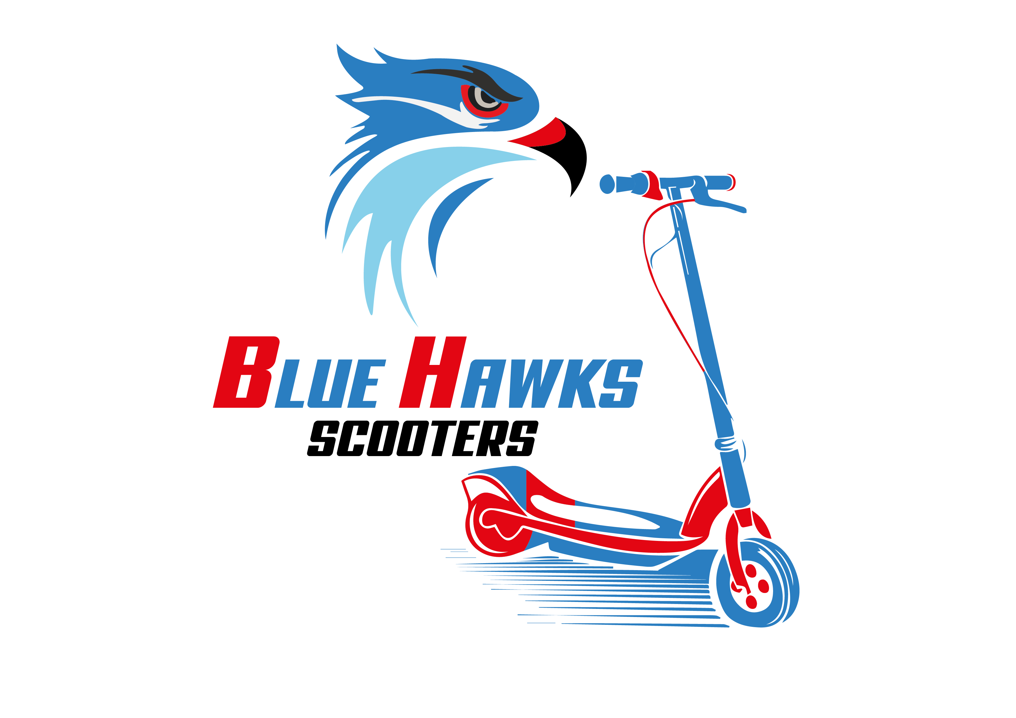 Blue Hawks Trading L.L.C