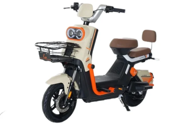 Kugoo Electric Bike two seater home cargo city riding